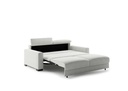 Elliot Queen Size Sleeper